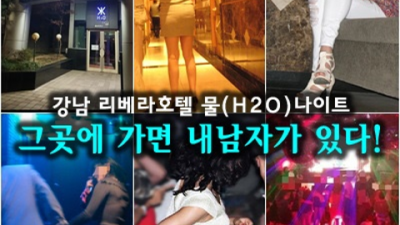 믿음을 주는 강남줄리아나나이트 에너자이저 목숨걸겠습니다 청담나이트 추천 신사동하드코어