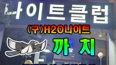 강남나이트h2o 믿음을 주는 영업진 가족처럼 생각하겠습니다 영동호텔줄리아나나이트 강남텐카페