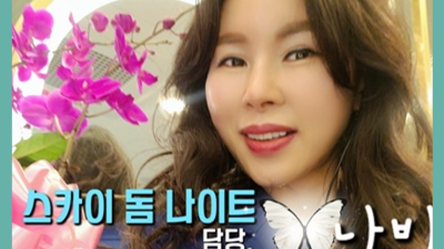 야당스카이돔나이트 야당스카이돔나이트 △ 제대로된 서비스가 뭔지 제대로 확인시켜드릴께요