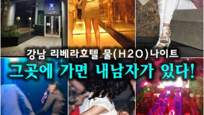 강남나이트 정직한 SM 서울나이트 추천 눈높이 맞춤 서비스 제공합니다 강남룸술집