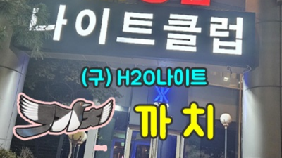 청담나이트h2o 거짓없는 일등영업진 후회없을겁니다 청담나이트혼자 선릉클럽