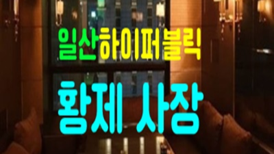 확실한 퍼블릭가라오케 최고웨이터 꼭 기억 해주세요 퍼블릭시스템 일산정통룸